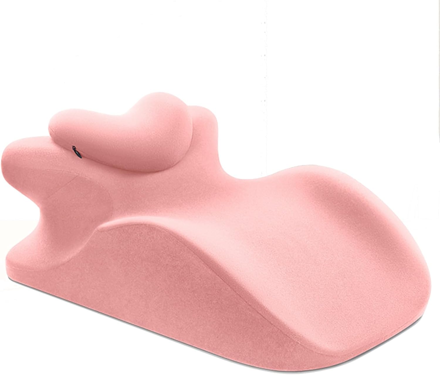 恐竜化石 レプリカ 縦43cm 横16.5cm 楽天市場】【送料無料】【カルノタ